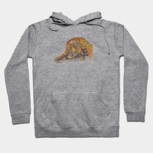 Swirly Leopard Hoodie